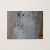 Bichon_Frise_puppy_sleeping ジグソーパズル (横)