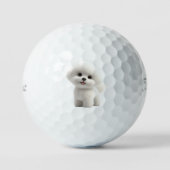 Bichon Frise Theme Golf Balls ゴルフボール (正面)