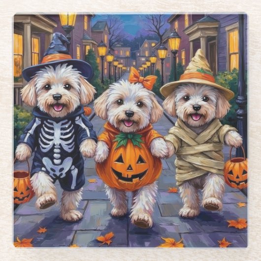 Bichon Frise Trick-or-Treating Halloween Costumes ガラスコースター (正面)