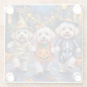 Bichon Frise Trick-or-Treating Halloween Costumes ガラスコースター (裏面)