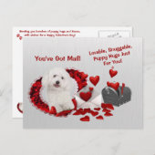Bichon Frise You've Mail Puppy Hugs 得 Valentine シーズンポストカード (正面/裏面)