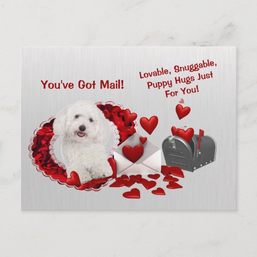Bichon Frise You've Mail Puppy Hugs 得 Valentine シーズンポストカード (正面)