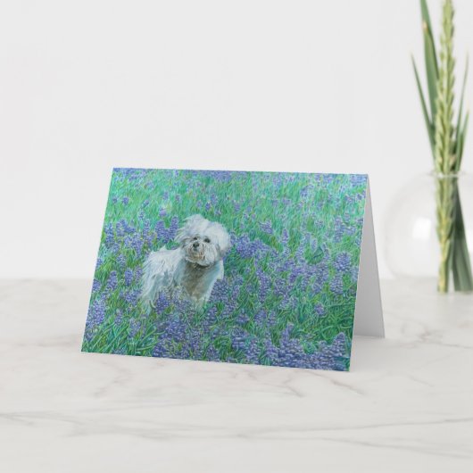 Bichon in Bluebonnets Greeting Card カード (正面)