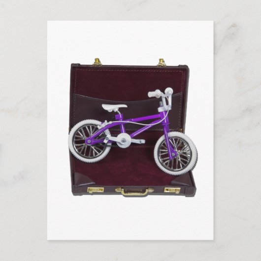 BicycleInBriefcase121611 ポストカード (正面)