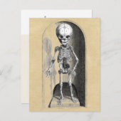 Bidloo医療イラストレーション(前部) ポストカード (正面/裏面)