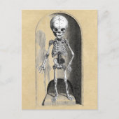 Bidloo医療イラストレーション(前部) ポストカード (正面)