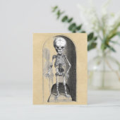 Bidloo医療イラストレーション（前部） ポストカード (スタンド正面)