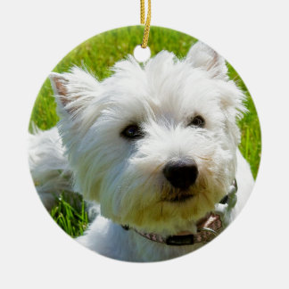 Biene セラミックオーナメント