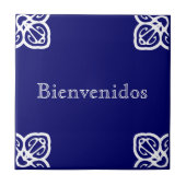 Bienvenidosの印 タイル (正面)