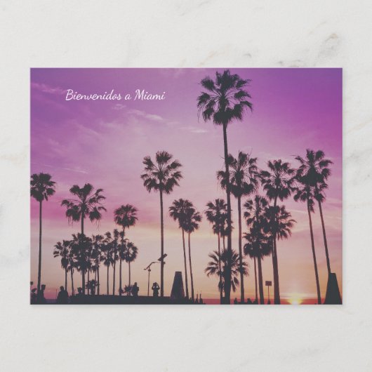Bienvenidos a Miami Palm Treesはがき ポストカード (正面)