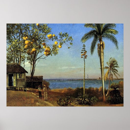 Bierstadt – バハマの景色 ポスター (正面)