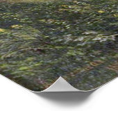 Bierstadt Puget Sound Pacific Coast Painting ポスター (角)