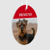 Biewer Terrier Dog's Name and Photo Christmas オーナメント (正面)