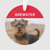 Biewer Terrier Dog's Name and Photo Christmas オーナメント (正面)