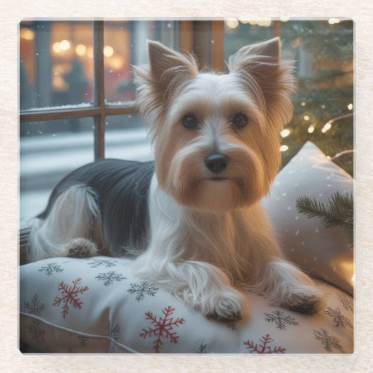 Biewer Terrier With Christmas Lights Holiday ガラスコースター (正面)