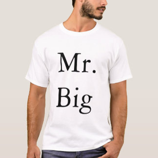 big氏 tシャツ
