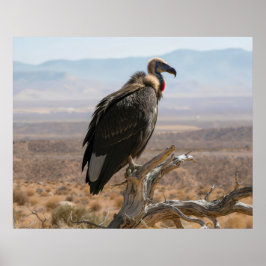 Big Beautiful Bird ポスター