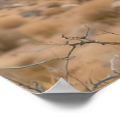 Big Beautiful Bird ポスター (角)