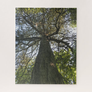 Big Beautiful Tree ジグソーパズル