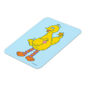 Big Bird Holding Christmas Ornaments マグネット (左側)