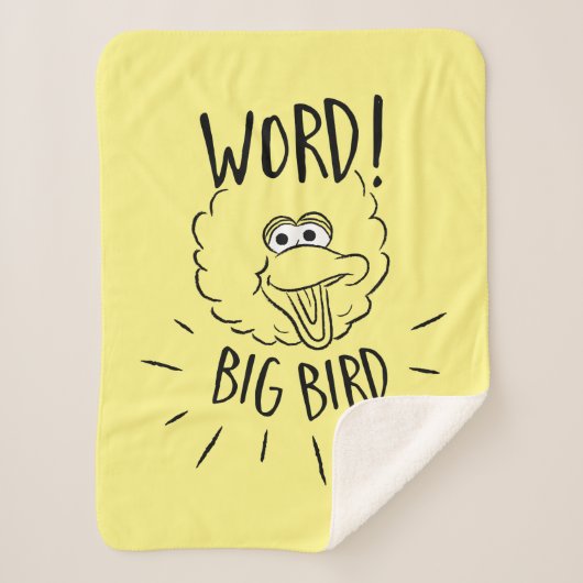 Big Bird Skate Logo - Word! Big Bird シェルパブランケット (正面)
