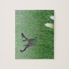 Big Buck In Tall Grass ジグソーパズル