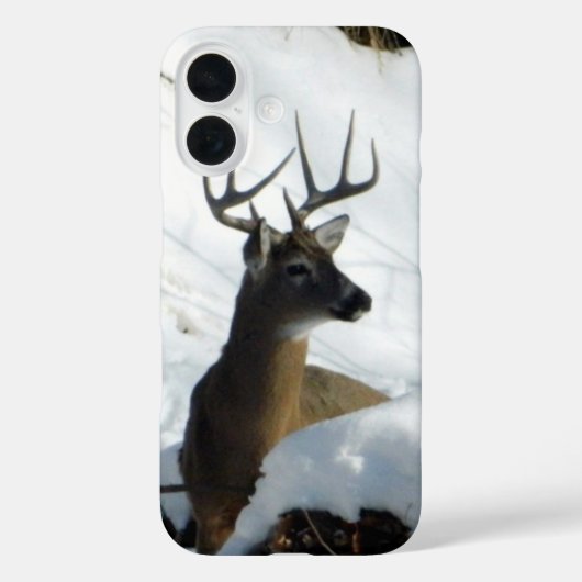 Big Buck iPhone カバー (裏面)