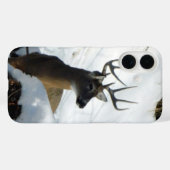 Big Buck iPhone カバー (裏面 (横))