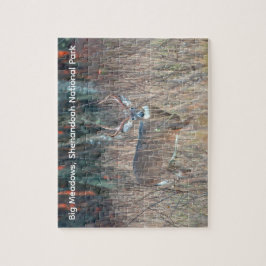 Big Buck, Shenandoah National Park ジグソーパズル