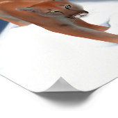 Big Cat In The Winter Snow - Mountain Lion ポスター (角)