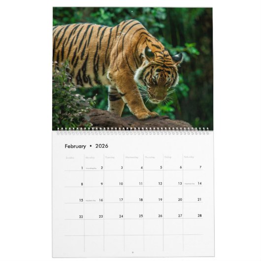 Big Cats Art #3 Calendar カレンダー (2月 2026)