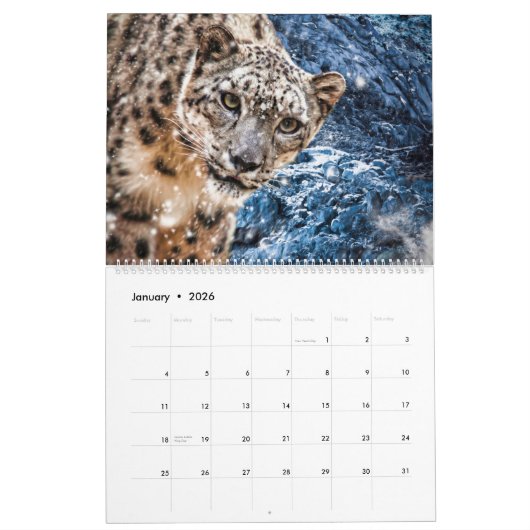 Big Cats Art #3 Calendar カレンダー (1月 2026)