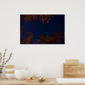 Big Dipper poster ポスター (キッチン)