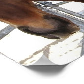 Big Eyes Red Tennessee Walking Horse - TWH ポスター (角)