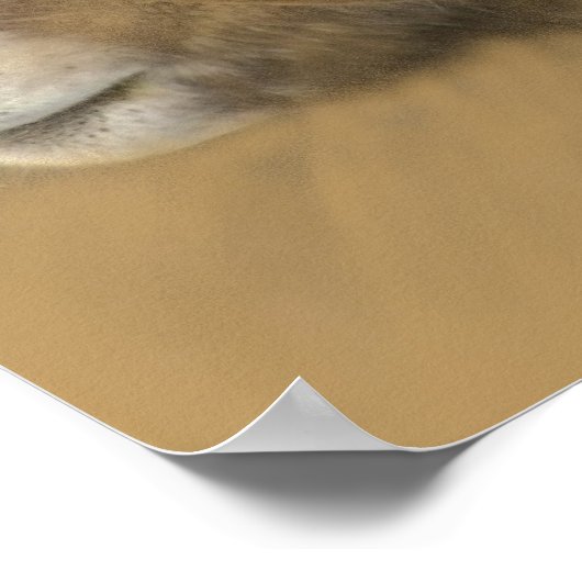 Big Horn Chalk Drawing ポスター (角)