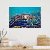 Big Island Sea Turtle Poster ポスター (キッチン)