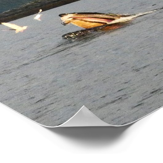 big mouth humpback ポスター (角)