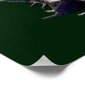 Big Old Bullfrog自然テキストの追加 ポスター (角)