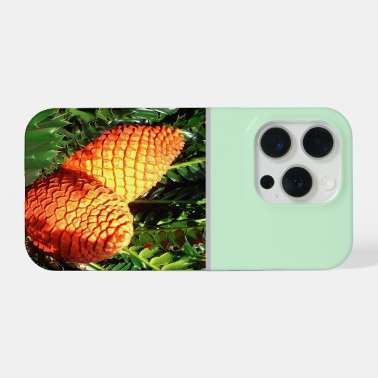 Big Orange African Seed Cone Pods, iPhoneケース (裏面横)