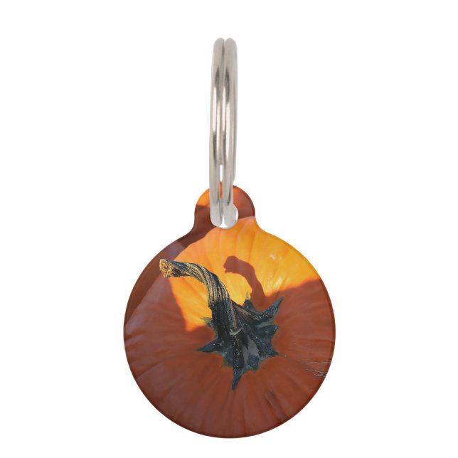 Big Orange Pumpkin  ペット　ネームタグ (正面)