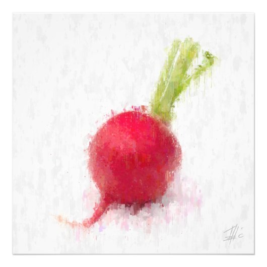 Big Radish フォトプリント (正面)