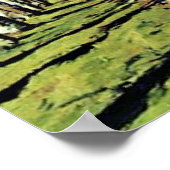 Big Road, Sunny Autumn Day ポスター (角)