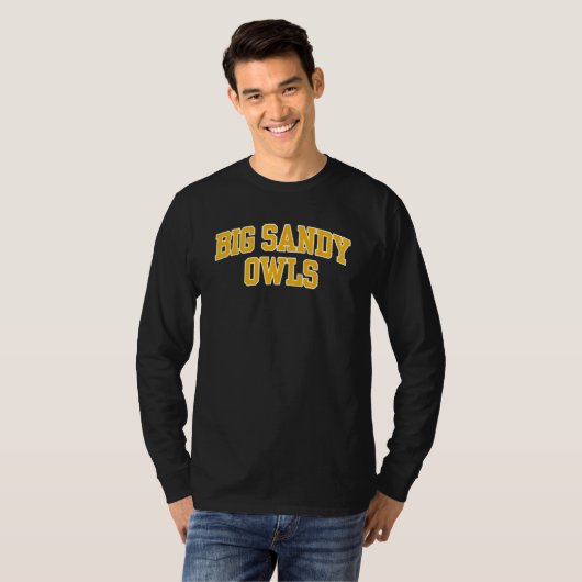 Big Sandy Community and Technical College Owls 02 Tシャツ (正面フル)