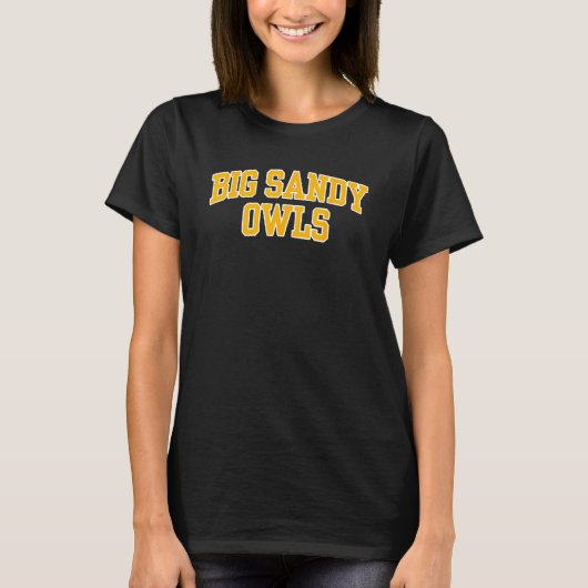 Big Sandy Community and Technical College Owls 02 Tシャツ (正面)