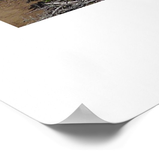 Big Sur, California ポスター (角)