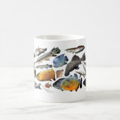 Big Tropical fish of the warld コーヒーマグカップ (中央)