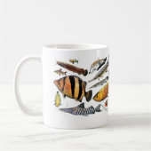 Big Tropical fish of the warld コーヒーマグカップ (左)