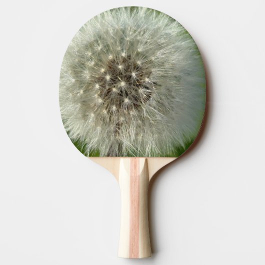 Big White Dandelion 卓球ラケット (裏面)