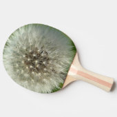 Big White Dandelion 卓球ラケット (横)