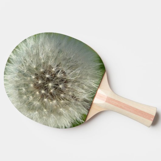 Big White Dandelion 卓球ラケット (横)